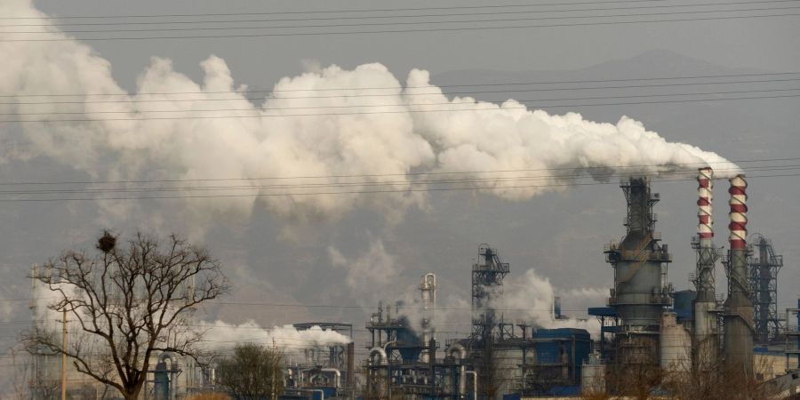Auf der Klimakonferenz in Dubai im vergangenen Jahr haben mehr als 130 Länder sich dem Ziel angeschlossen, die Kohleverstromung auslaufen zu lassen.