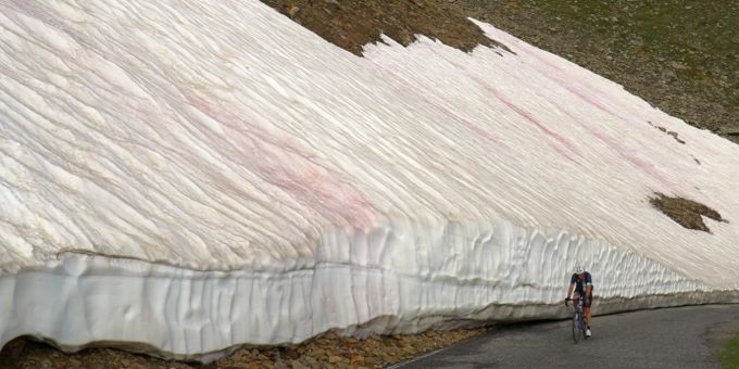 Blutschnee in den italienischen Alpen. Das Phänomen kann auch in der Schweiz bestaunt werden. Blutschnee