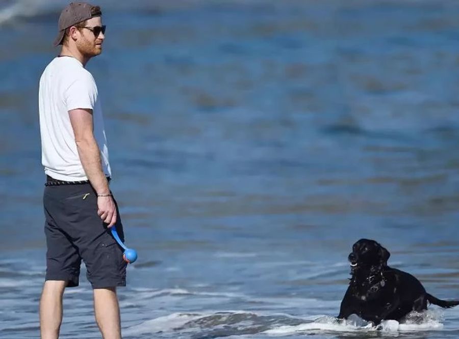 Prinz Harry mit seinem Hund am Strand.