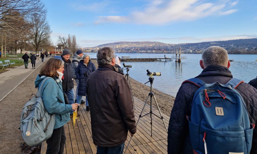 Zürcher Tierschutz, Pressebild