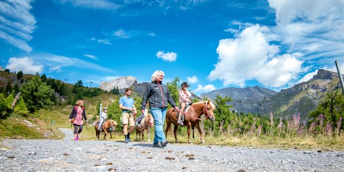 Ponys Ausritt Bergpanorama Menschen