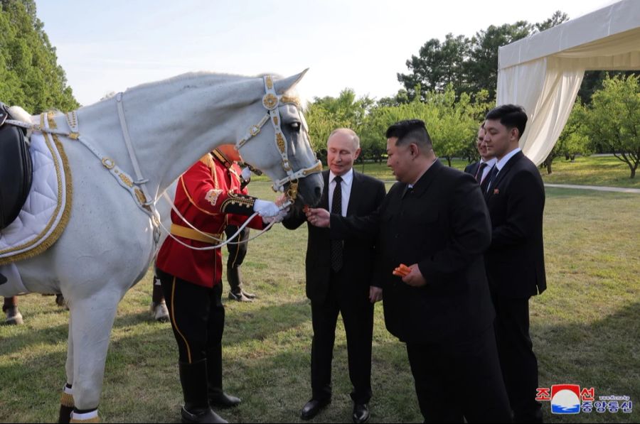 Für Wladimir Putin gibt es nach dem Besuch Spott.