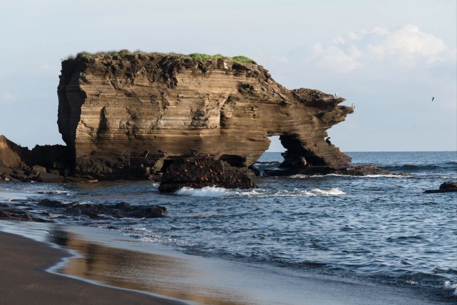 Strand auf den Galapagos-Inseln.