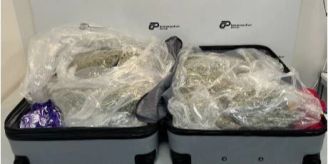 Zürich Flughafen - Drogenkurier mit mehreren Kilo Marihuana erwischt