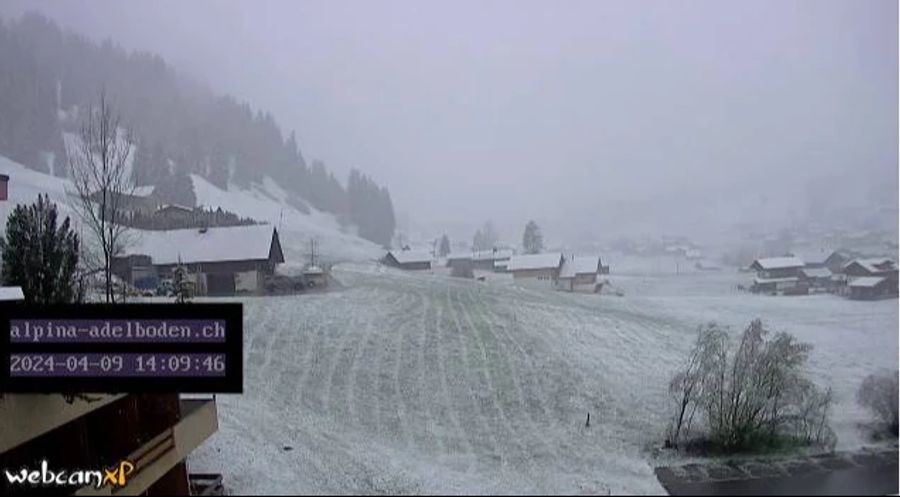 Bis 14 Uhr fielen dann ein paar Zentimeter Schnee.