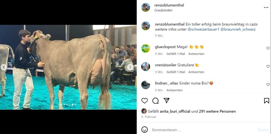 Moreno Blumenthal präsentiert eine Kuh.