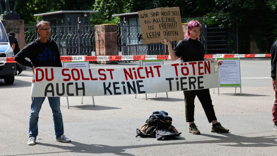 Der Tiergarten teilt dazu mit: «Jeder Protest, der friedlich bleibt, ist für uns in Ordnung.»
