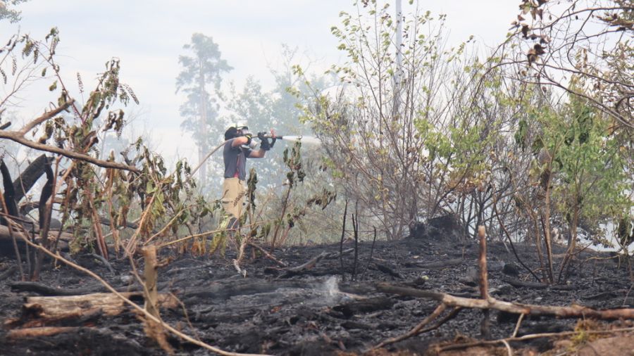 waldbrand