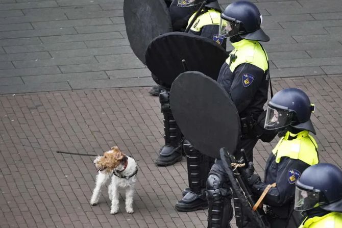 Niederländische Polizei