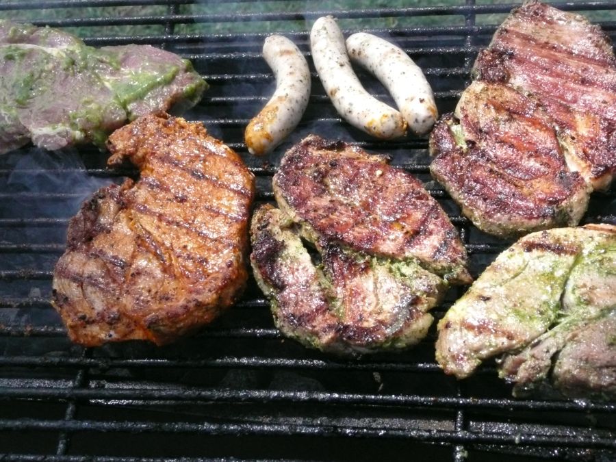 hudn bbq grillen