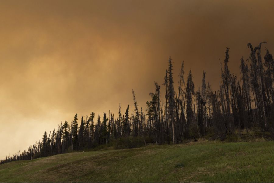kanada waldbrand
