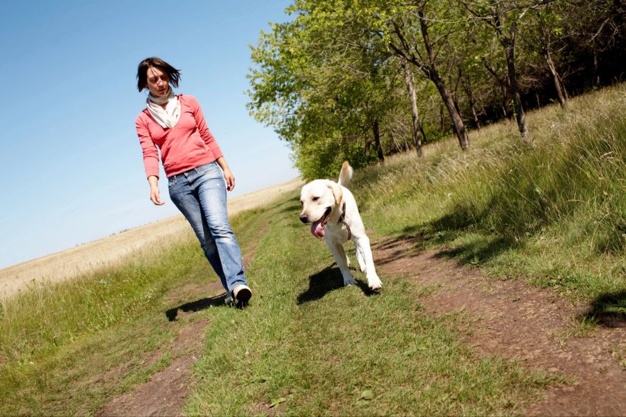 Spaziergang mit Hund