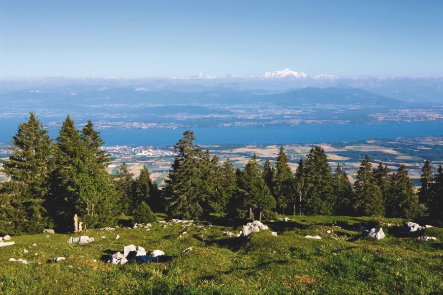 Ausblick Naturpark Jura Vaudois