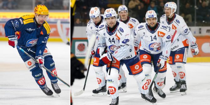 zsc