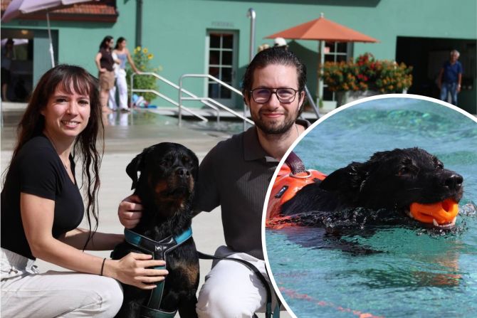Hunde erobern die Badi Aarburg