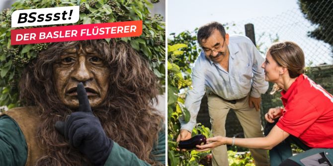 basler flüsterer