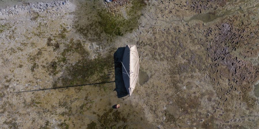 Bodensee: Wie ernst ist die Lage?
