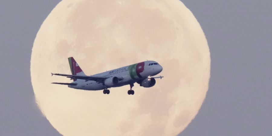 Die Lufthansa soll für die portugiesische Fluggesellschaft TAP ein bevorzugter Partner werden. Die Lufthansa hielt dafür den Zuschlag von der portugiesischen Regierung.(Symbolbild)