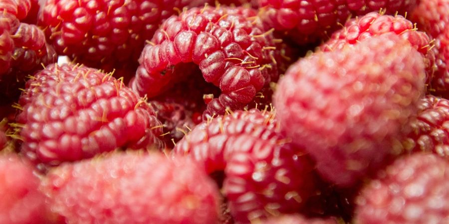 Zum ThemendienIn Himbeeren steckt Salicylsäure - ein Stoff, der Schmerzen lindern kann. Um auf mit ihnen Kopfweh zu behandeln, müsste man allerdings riesige Mengen Himbeeren essen.