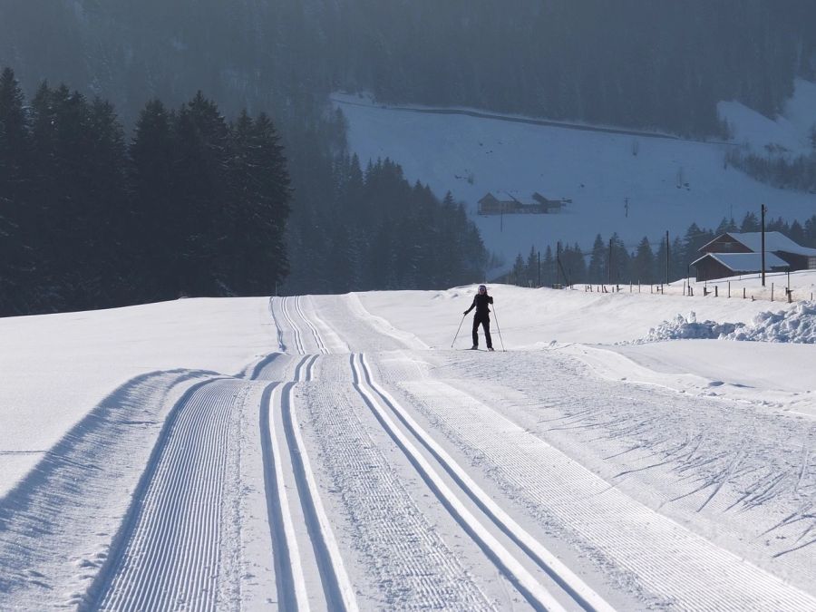 Skilanglauf