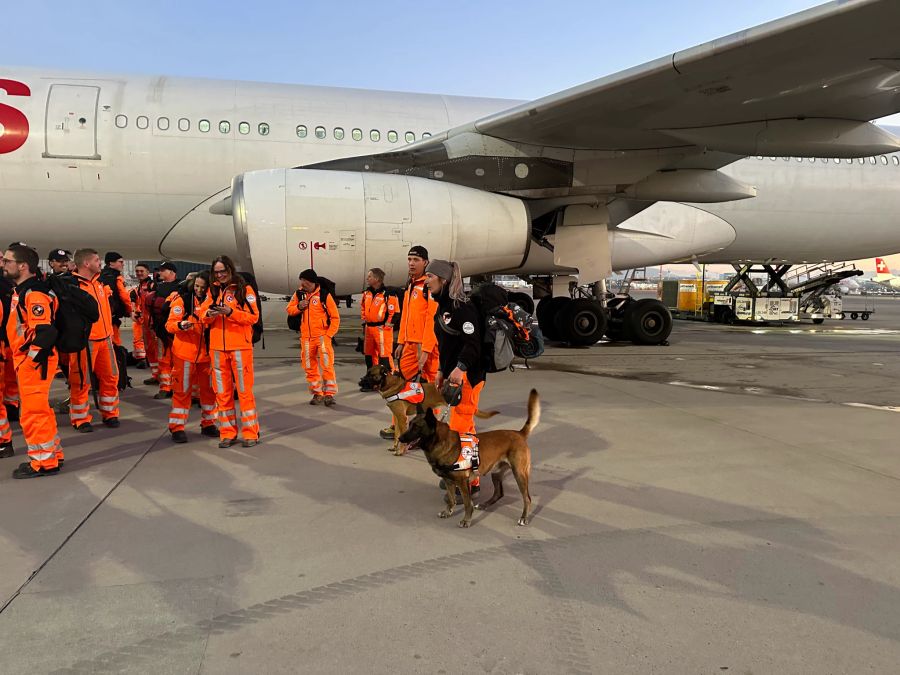 Weitere sechs Redog-Hunde und zehn Personen halfen zusammen mit der türkischen Rettungsorganisation GEA bei der Bergung von 31 Menschen.