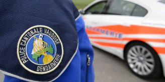 Extremismus - Russe (15) in Waadt festgenommen – auch Genf reagiert