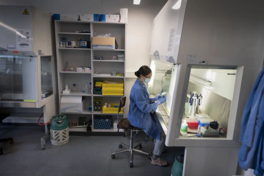 Eine Labormitarbeiterin teilt Abwasserproben aus verschiedenen Kläranlagen in kleine Behälter zur weiteren Verarbeitung und Analyse auf.