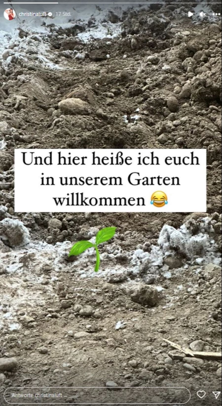 Auch im Garten ist noch einiges zu tun.