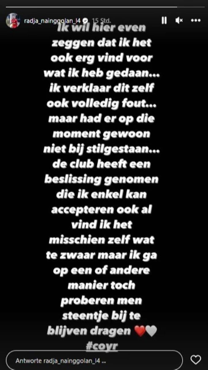 Der belgische Ex-Nationalspieler entschuldigt sich via Instagram. Radja Nainggolan