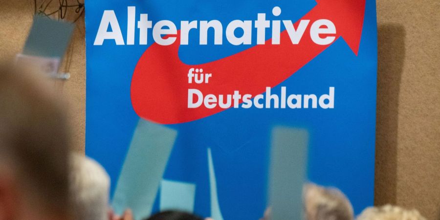Der Landesverfassungsschutz stufte die AfD Brandenburg 2020 als rechtsextremistischen Verdachtsfall ein.