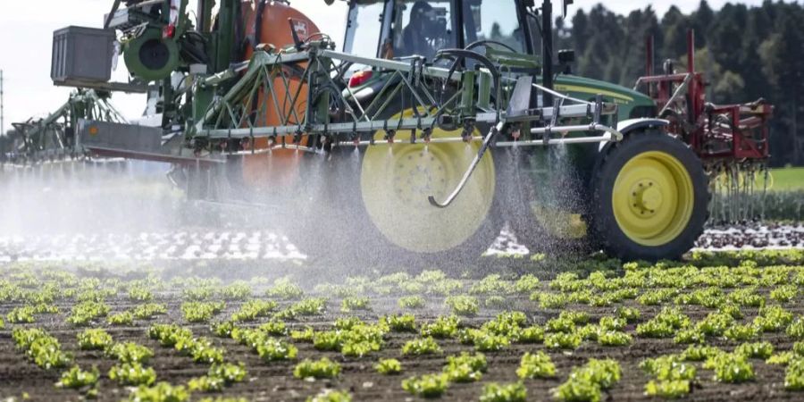 In der Landwirtschaft kommen viele verschiedene Pestizide zum Einsatz.