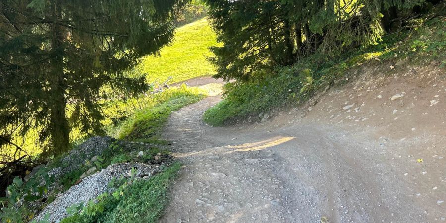 Unfallstelle Mountainbike-Trail