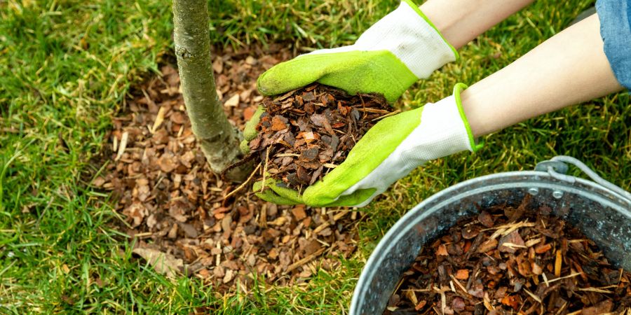 Mulch Baum Garten