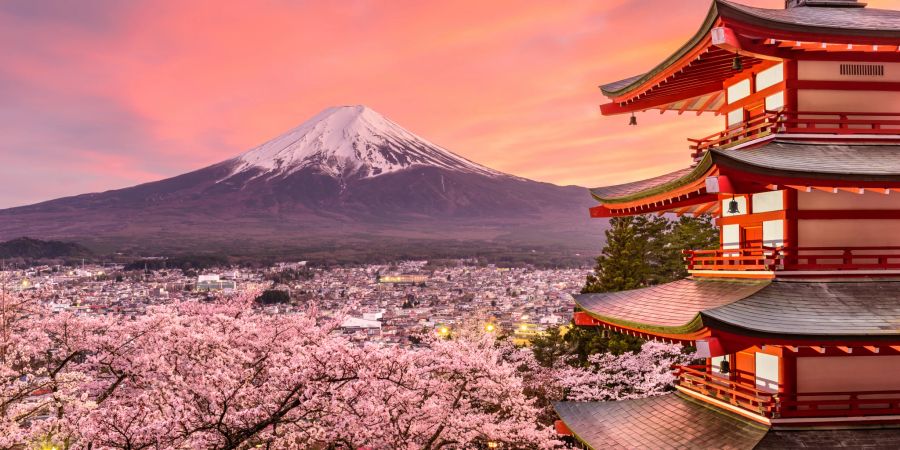 japan im frühling kirschblütenzeit