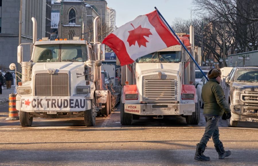 freedom convoy