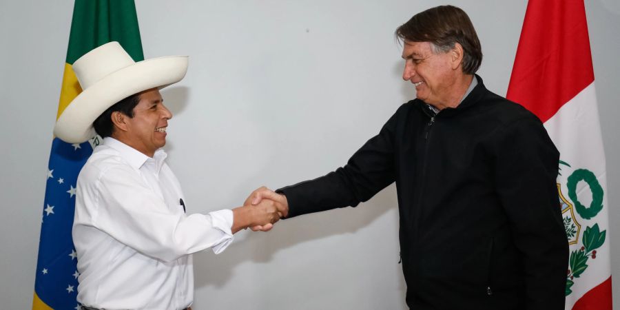 Bolsonaro and Castillo will strengthen border cooperation at all levels