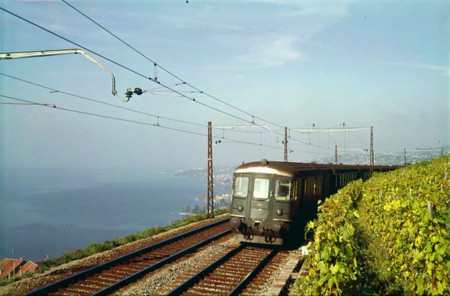 Eine RBe 4/4 in ihrem natürlichen Habitat, dem schweren Regionalverkehr. Hier kommt sie gerade vorbei an den Rebbergen an den Ufern des Lac Léman