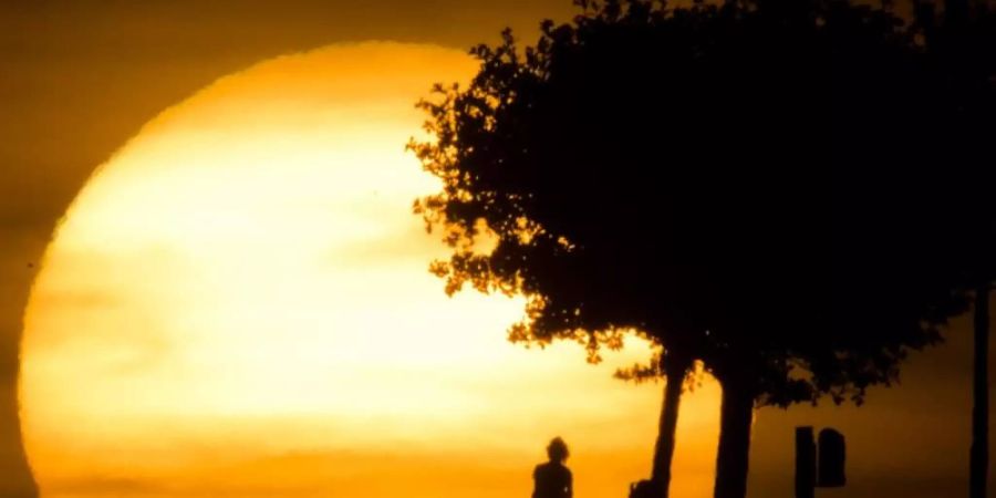 Passanten am Kronsberg in Hannover bei einem Sonnenuntergang. Foto: Julian Stratenschulte/dpa