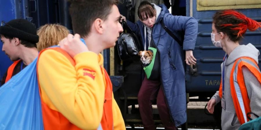 Flüchtlinge aus Mariupol im westukrainischen Lwiw