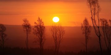 Wetter
