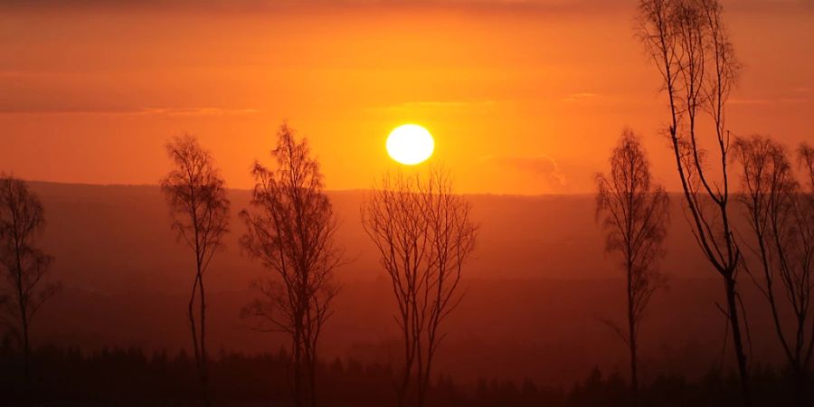 Wetter