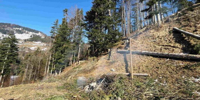 Die Unfallstelle im Wals bei Libingen SG. libingen