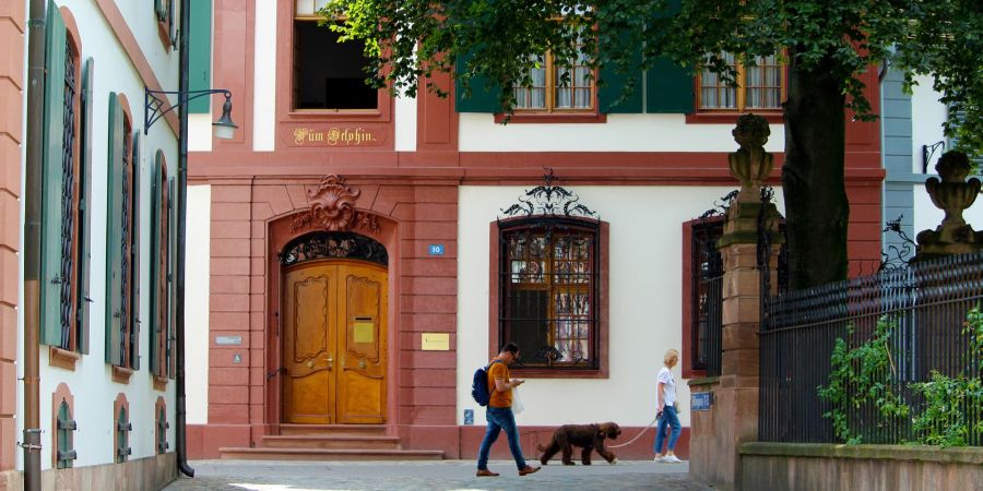 Altstadt Basel Platz Hund Tür Baum Strasse