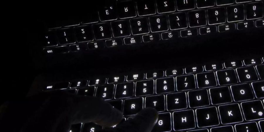 Die kriminelle Masche um Finanzanlagen auf gefälschten Online-Plattformen war im vergangenen Herbst in die Schlagzeilen geraten (Symbolbild). Foto: Karl-Josef Hildenbrand/dpa