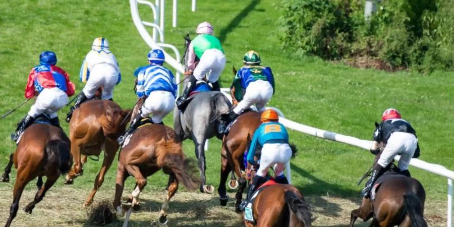 Das Deutsche Galopp-Derby soll am 12. Juli auf der Horner Rennbahn in Hamburg stattfinden. Foto: Daniel Bockwoldt/dpa
