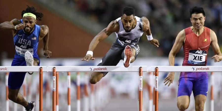 Die Diamond League beginnt am 14. August. Foto: Jasper Jacobs/BELGA/dpa