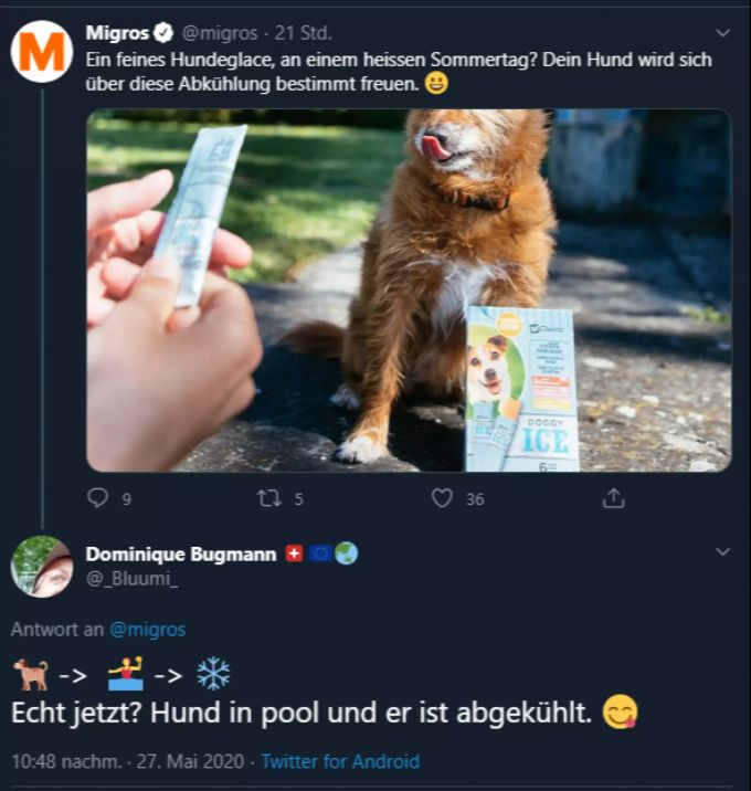 Diese Twitter-Userin schlägt eine Alternative zur Hundeglacé vor. Migros Hundeglacé