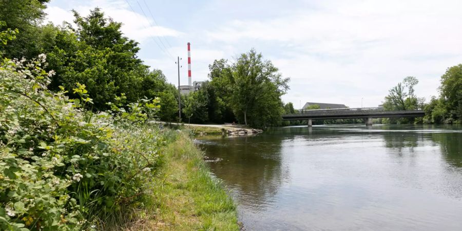 Die Langmatt an der Aare in Rupperswil.
