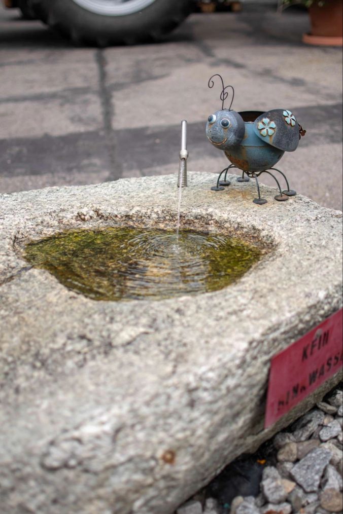 Ein freundlicher Käfer auf einem Brunnen in Dintikon.