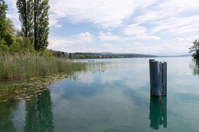 Hallwilersee, Seengen